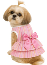 KUTKUT Small Dog Cat Girl Dress Cute Bowknot Tutu Dress Striped Summer Dog Clothes for Small Dogs Girl Toypom, Yorkshire, Mltese Cat Pet Apparel Outfit