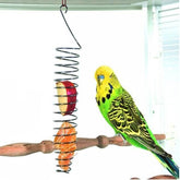 KUTKUT Bird Food Holder Parrots Bird Stainless Steel Millet Feeder Hanging Fruit Feeder Chew Toys for Conures Parakeets Cockatoos Budgie Cockatiel 25cm Food Basket