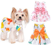 KUTKUT Combo of 2 Pcs Cute Small Pet Dress with Lovely Bow Pet Apparel Dog Clothes for Dogs & Cats | Puppy Summer Dress Birthday Pet Apparel Dress - kutkutstyle