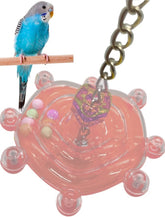 KUTKUT Bird Toys, Conure Rotating Wheel Toy Parakeet Spinning Toys Parrot Rattle Toys Bird Hanging Toys Bird Cage Accessories for Small-Medium Parrots