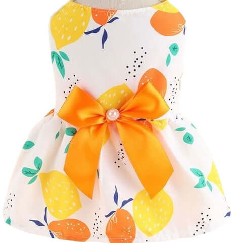 KUTKUT Small Girl Dog & Cat Summer Dress with Lovely Bow Pet Apparel | Puppy Dress Birthday Pet Apparel Dress | Frock Dress For ShihTzu, Poodle etc