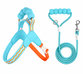 KUTKUT Comfortable Pet Harness with Matching Leash, Adjustable Padded Small Dog & Cat Harness with Soft Handle, Breathable Mesh with D-Ring & Secure Buckle (Teal Blue)