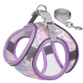 KUTKUT Step-in Air Small Dog Cat Harness-All Weather Mesh,Reflective,No Pull Harness for Puppies,Small Dogs,Kitten & Cats-Secure with Hook & Loop Fastener,Buckle,Double D-Rings ( Purple )