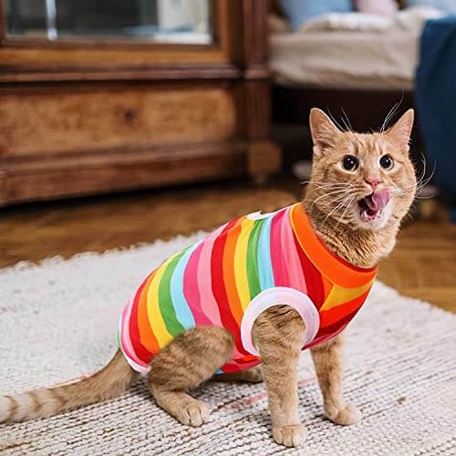 KUTKUT Cat Dog Sterlization Suit, 2 Pcs Cat Surgery Recovery Suit | Physiological Poly Cotton Breathable Apparel for Abdominal Wounds or Skin Diseases Hook & Loop Closure Costume for Cats - k