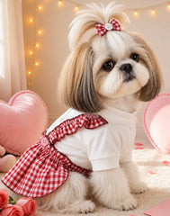 KUTKUT Small Dog Dress for Girls - Red Gingham Checkered Pet Dress with Ruffle Straps, Heart Design & Cute Button Details for Puppy, Maltese, Kittens, Shihtzu etc (Red)