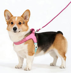 KUTKUT Pet Harness & Leash Set for Small Dogs & Cats, Adjustable Breathable Mesh Harness with Padded Control Handle, Secure Buckle & Metal D-Ring (Pink)
