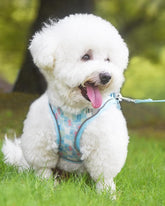 KUTKUT Summer Cat & Small Dog Chest Harness and Leash, Anti-Escape Adjustable Soft Mesh Cat Leash and Vest Harness Set for All Types of Cats & Small Dogs Vests (Blue)