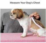 KUTKUT 2Pcs Windproof Fleece Dog Clothes Pet Keep Warm Jacket with Leash Ring No Pull No Choke Eco-Friendly Warm Clothes for Maltese, Pekingese, Shihtzu - kutkutstyle