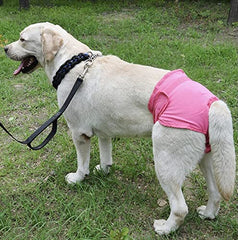 KUTKUT Set of 2 Reusable & Washable Sanitary Pet Diaper| Adjustable Menstruation Underwear for Female Dog in Heat Period