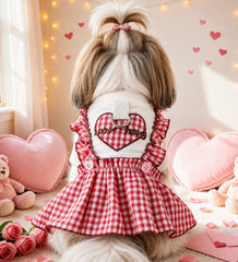 KUTKUT Small Dog Dress for Girls - Red Gingham Checkered Pet Dress with Ruffle Straps, Heart Design & Cute Button Details for Puppy, Maltese, Kittens, Shihtzu etc (Red)