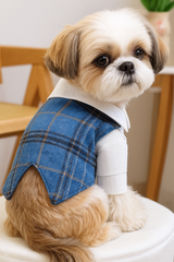 KUTKUT Small Dog Plaid Shirt Vest - Classic Blue Checkered Pet Outfit With Buttons & White Collar, Stylish Puppy & Kitten Clothing For Special Occassions