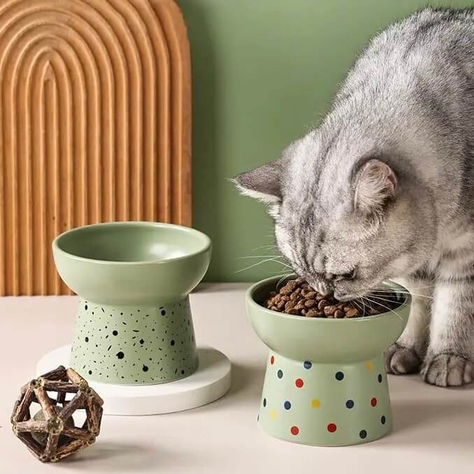 KUTKUT Set of 2Pcs Ceramic Cat Food Or Water Bowl, Raised Cat Feeder Dishes with Stand, Elevated Pet Food Bowl for Cats and Small Dogs, Stress Free Backflow Prevention & Reduce Neck Burden - 