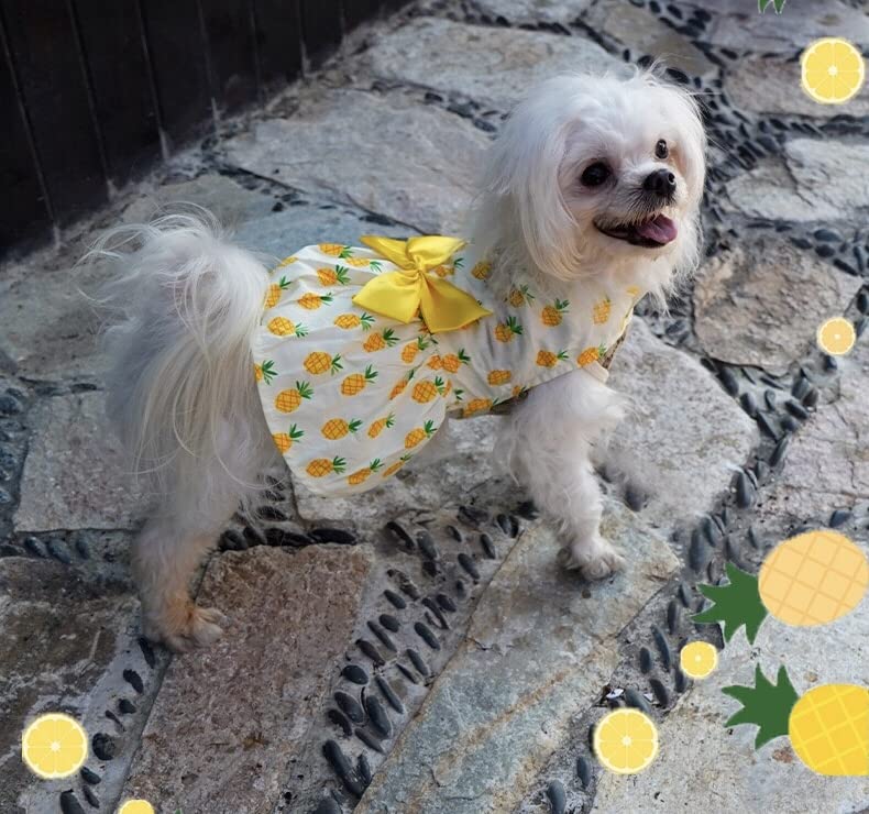 KUTKUT Lovely Floral Small Pet Frock | Summer Clothing for Shihtzu,Pug,Pomeranian Wedding Dress  Pack of 2 (Pineapple & Cherries) - kutkutstyle