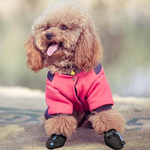 KUTKUT 2 Sets 8Pcs Washable Small Dog Shoes | Rain Snow Dog Booties | Breathable Paw Protector, Anti-Slip Upgraded Soft Soled with Adjustable Drawstring For ShihTzu, Poodle, Bichon etc & Cats