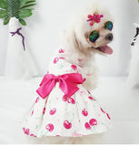 KUTKUT Lovely Floral Small Pet Frock | Summer Clothing for Shihtzu,Pug,Pomeranian Wedding Dress  Pack of 2 (Pineapple & Cherries) - kutkutstyle