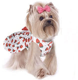 KUTKUT Set of 2 Cute Small Pet Dress with Lovely Bow Pet Apparel Dog Clothes for Dogs and Cats | Puppy Summer Dress Birthday Pet Apparel Dress