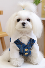 KUTKUT Small Dog Plaid Shirt Vest - Classic Blue Checkered Pet Outfit With Buttons & White Collar, Stylish Puppy & Kitten Clothing For Special Occassions