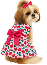 KUTKUT Small Dog Cat Girl Dress, Cherry Princess Breathable Frock for Small Dogs Cat Girl Puppy Kitten, Ribbon Bow Skirt Dress for ToyPom, Maltese, Yorkii, Papillon