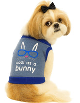 KUTKUT Drooling Small Dog and Cat Shirt | Breathable Autumn, Spring & Winter Cotton Fleece Sleeveless Shirt for Shihtzu, Maltese, ToyPoodle, Papillon (Size: L, Chest Girth 45cm, Back Length 35cm)