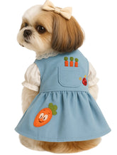 KUTKUT 3 Carrots Sweet Dress for Puppy, Small Dog and Cats, Summer Party Dog Dress for Yorkie, Maltese and Small Dogs & Cats ( Blue)