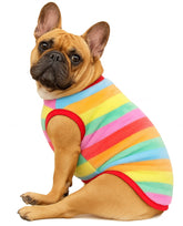 KUTKUT Velvet Fleece Shirt|Stripes Pattern Button Closure Warm Sweatshirt for Small Dogs Cats Boy Girl|Winter Thermal Pullover Clothes for Puppy French Bulldog,Pug etc