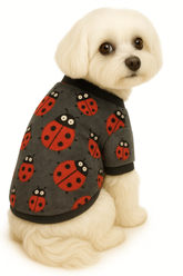 KUTKUT Small Dogs Puppy Cats Warm Clothes, Cute Bee Pattern Breathable Round Neck Flannel Fleece Pullover, Winter Shirt for Yorkii, Maltese, Mini Pom Small Dogs
