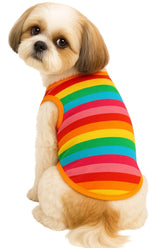 KUTKUT Rainbow Stripe Summer Cotton Sleeveless T-Shirt for Small Breed Dogs ShishTzu, Lhasa, Poodle