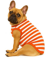 KUTKUT Velvet Fleece Dog Shirt|Stripes Pattern Button Closure Warm Sweatshirt for Small Dogs Cats Boy Girl|Winter Thermal Jammie Clothes for Puppy French Bulldog,Pug