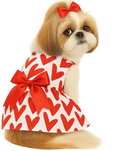 KUTKUT Small Dog Cat Girl Dress, Lightweight Breathable Frock for Small Dogs Cat Girl Puppy Kitten, Ribbon Bow Skirt Dress for Shihtzu, ToyPoo, Pekingese, Lhasa Apso etc