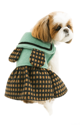 KUTKUT Newest Cute Princess Style Warm Dress for Small Dogs | Bear Ears Woolen Fabric Dog Skirt for Shish Tzu, Pug, Poodle etc ( Green)