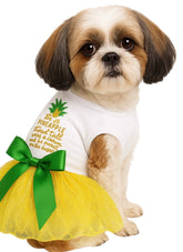 KUTKUT Small Dog Clothes Female Puppy Dresses for Small Dogs Cat Girl Pet Summer Clothes Outfit Apparel Cute Bowknot Doggy Skirt Tutu Skirt Cat Dress