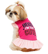KUTKUT Small Dog Dress Pet Tutu Dress Puppy Dress Cute Dog Princess Skirt Elegant Pet Summer Apparel Doggie Clothes for Small Dogs Cats Pets (OMG Pink)
