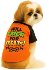 KUTKUT Small Dog & Cat Haloween T-Shirt | Breathable Trick for Treats Printed Half Sleeves Tee Shirt for Small Dogs Chihuahua, Yorkie Shih Tzu (Orange, Size: L, Chest Girth 46 cm, Back Length 36 cm)