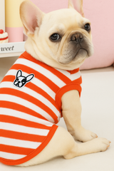 KUTKUT Velvet Fleece Dog Shirt|Stripes Pattern Button Closure Warm Sweatshirt for Small Dogs Cats Boy Girl|Winter Thermal Jammie Clothes for Puppy French Bulldog,Pug