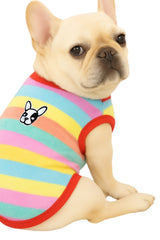 KUTKUT Velvet Fleece Shirt|Stripes Pattern Button Closure Warm Sweatshirt for Small Dogs Cats Boy Girl|Winter Thermal Pullover Clothes for Puppy French Bulldog,Pug etc
