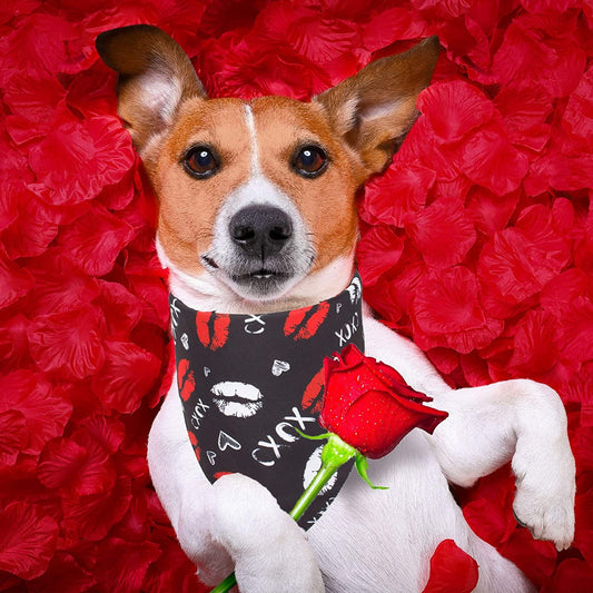 KUTKUT Valentines Day Dog Bandana | Reversible Dog Triangle Scarf | Dog Wedding Bandana Lips Print Pet Kerchief Accessories for Large Medium Small Dogs Cats Pets (Size: 70 x 48 x 48 cm) - kut