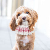 KUTKUT Bandana for Cats, Cute Lace Dog Bandanas and Neck Chain Choker for Cats Small Dogs, Outfit, Decoration Collar Pet Scarf - kutkutstyle