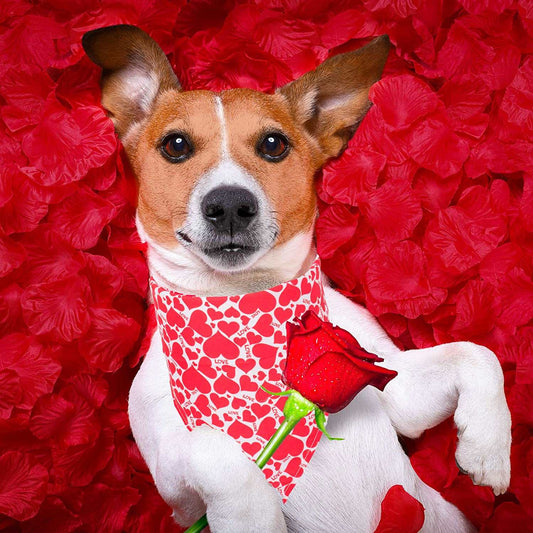 KUTKUT 4 Pack Heart Pattern Dog Bandana Triangle Dog Scarf Red Pink Heart Design Valentine Pet Bandana for Small Dogs Cats (Size: 40 * 30 * 30cm) - kutkutstyle