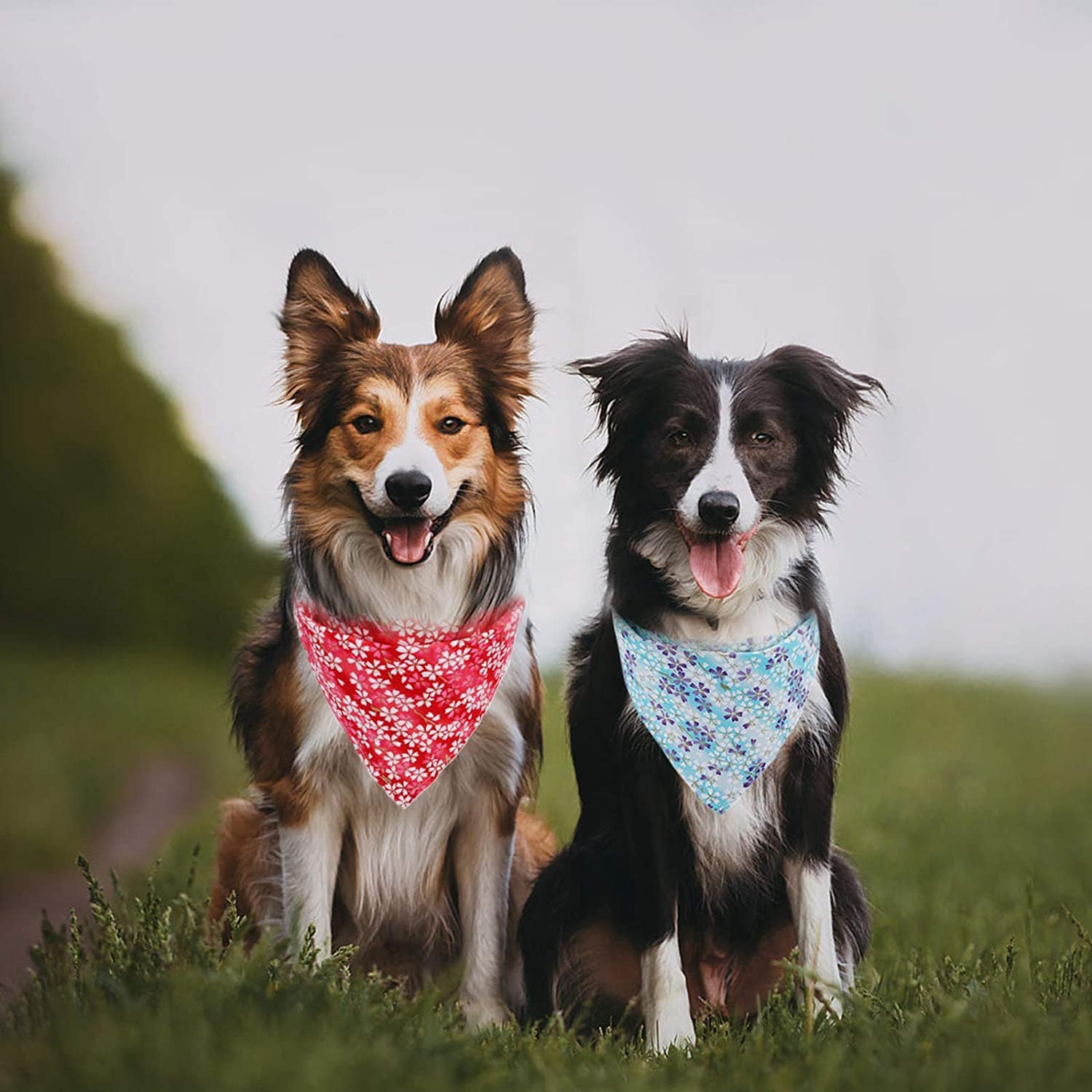 KUTKUT Floral Print Dog Tux | 100% Cotton Dog Bandana Scarf | Triangle Bibs Kerchief | for Puppy, Small, Medium Large Dogs & Cats - kutkutstyle