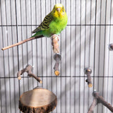 KUTKUT 8 PCS Natural Wood Bird Perch Stand-Wooden Parrot, Perch Stand-Perch Platform Cage Accessories for Parrotlets Budgies Cockatiels Parakeets Lovebirds - kutkutstyle