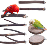 KUTKUT 8 PCS Natural Wood Bird Perch Stand-Wooden Parrot, Perch Stand-Perch Platform Cage Accessories for Parrotlets Budgies Cockatiels Parakeets Lovebirds - kutkutstyle