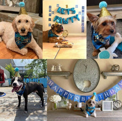 KUTKUT Dog Birthday Bandana Girl Boy - Birthday Party Supplies - Puppy Birthday Hat Scarf Happy Birthday Banner Dog Boy Girl Birthday Outfit for Pet Puppy Cat - kutkutstyle