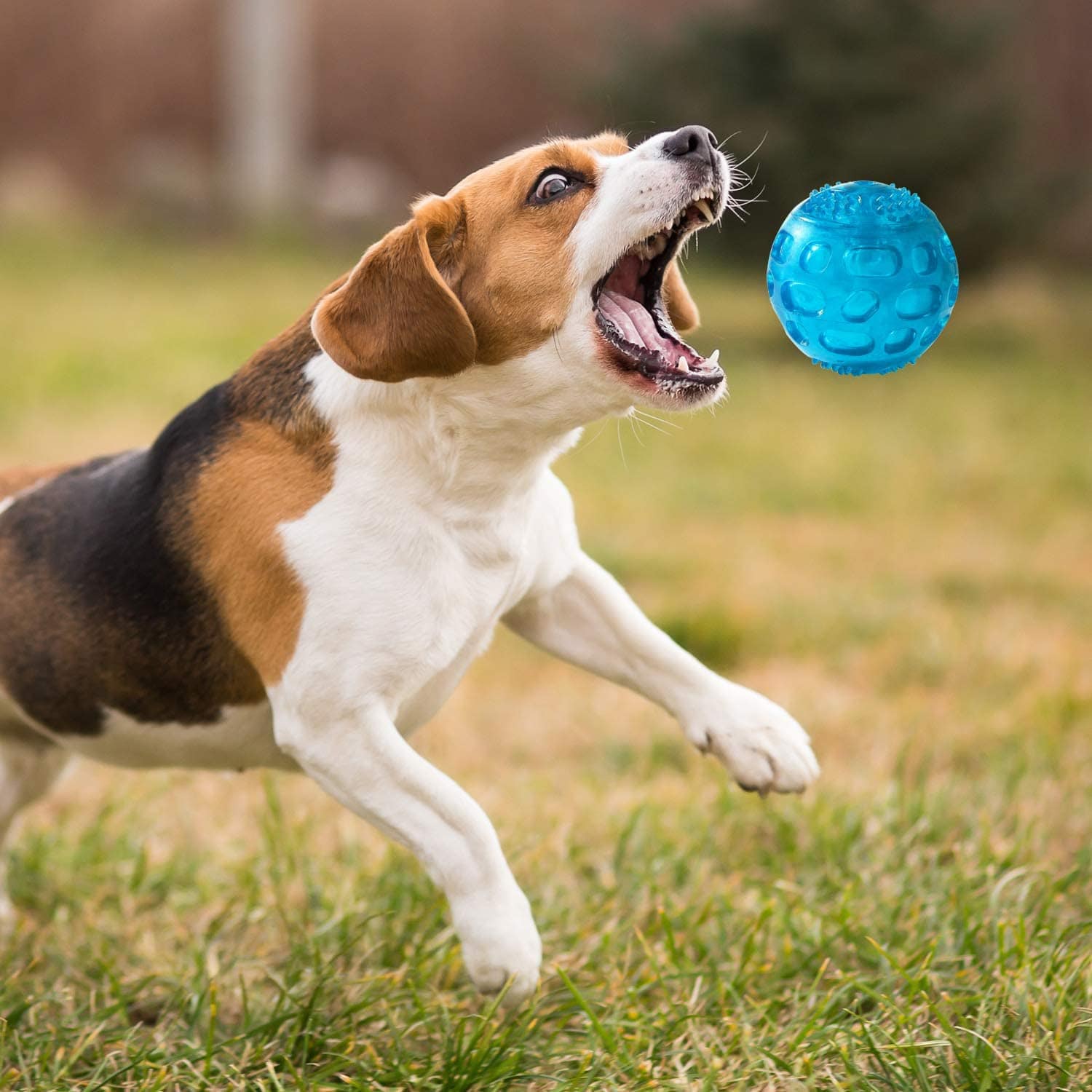 KUTKUT Dura Squeak Dog Ball, Interactive Dog Toy That Float & Squeak, Squeaky Dog Ball for Playing, Fetching & Retrieving - Great Alternative to Traditional Dog Tennis Balls (Blue) - kutkutst