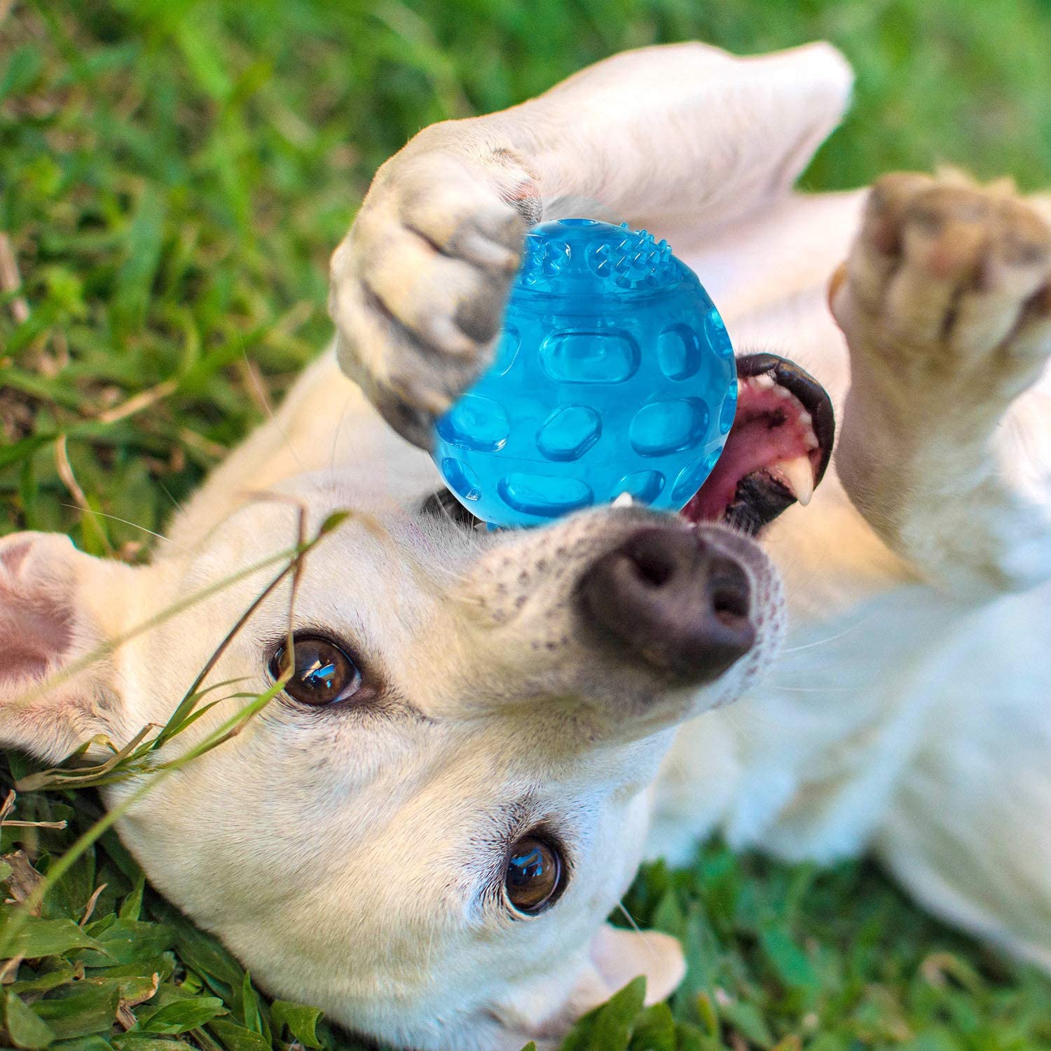 KUTKUT Dura Squeak Dog Ball, Interactive Dog Toy That Float & Squeak, Squeaky Dog Ball for Playing, Fetching & Retrieving - Great Alternative to Traditional Dog Tennis Balls (Blue) - kutkutst