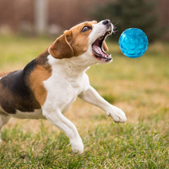 KUTKUT Dura Squeak Dog Ball, Interactive Dog Toy That Float & Squeak, Squeaky Dog Ball for Playing, Fetching & Retrieving - Great Alternative to Traditional Dog Tennis Balls (Blue) - kutkutst