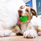 KUTKUT Dura Squeak Dog Ball Interactive Dog Toy That Float & Squeak for Playing, Fetching & Retrieving - Great Alternative to Traditional Dog Tennis Balls (Green) - kutkutstyle