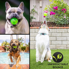 KUTKUT Dura Squeak Dog Ball Interactive Dog Toy That Float & Squeak for Playing, Fetching & Retrieving - Great Alternative to Traditional Dog Tennis Balls (Green) - kutkutstyle