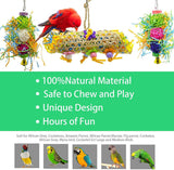 KUTKUT 3Pack Bird Chewing Shredding Toys Foraging Shredder Toy Parrot Cage Shredder Toy Bird Loofah Toys Foraging Hanging Toy for Cockatiel Conure Parrot - kutkutstyle