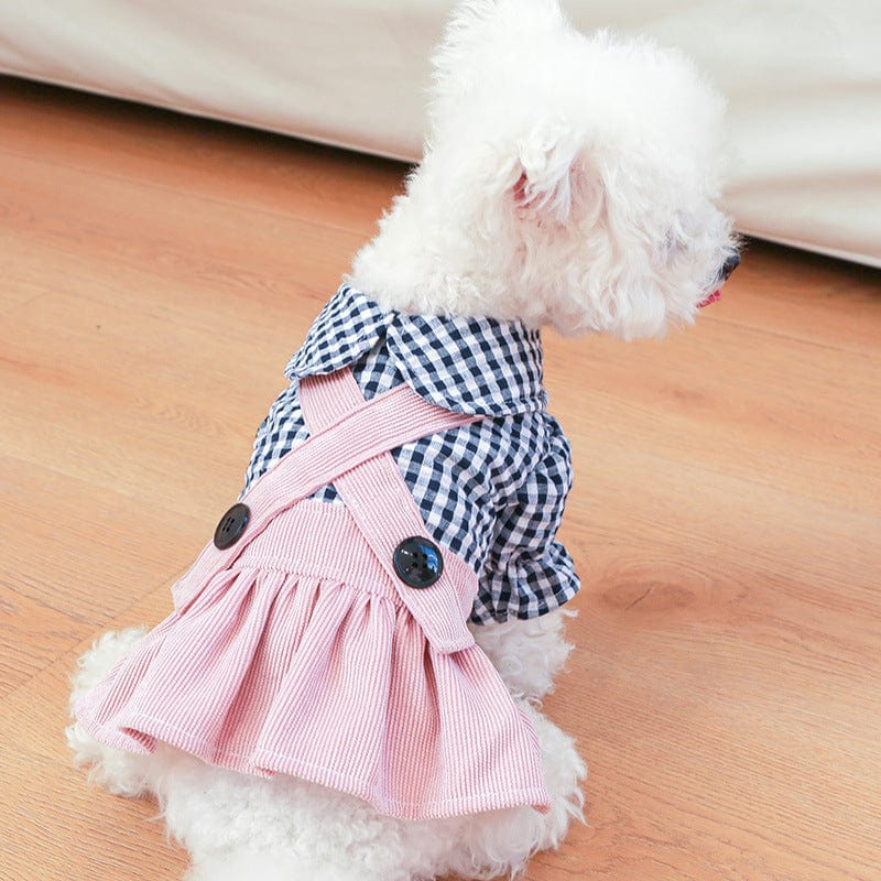 KUTKUT Plaid Collar Button Décor Skirt Dress for Small Dogs | Comfortable Pet Dog and Cat Skirt Clothes for Small Dogs Paillons, Yoriki, Maltese ( Pink)…-Clothing-kutkutstyle