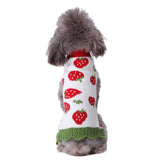 KUTKUT Puppy Dog Cat Knitted Sweater | Breathable Crochet Knit Pullover |Jumper for Small Dogs, Shih Tzu, Pug, Yorkie etc. and Cats (Multicolor)-Clothing-kutkutstyle